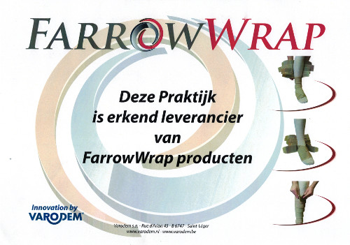 authorized dealer lenzen